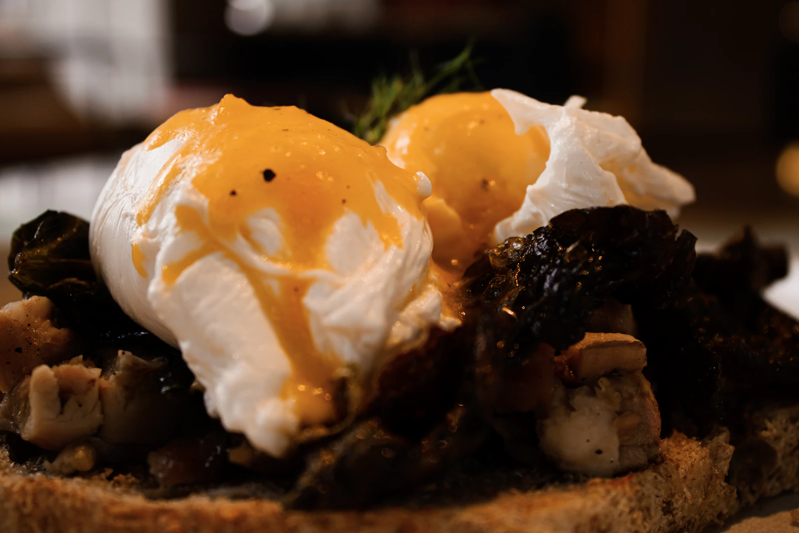 Poached eggs over mushrooms and thick toast